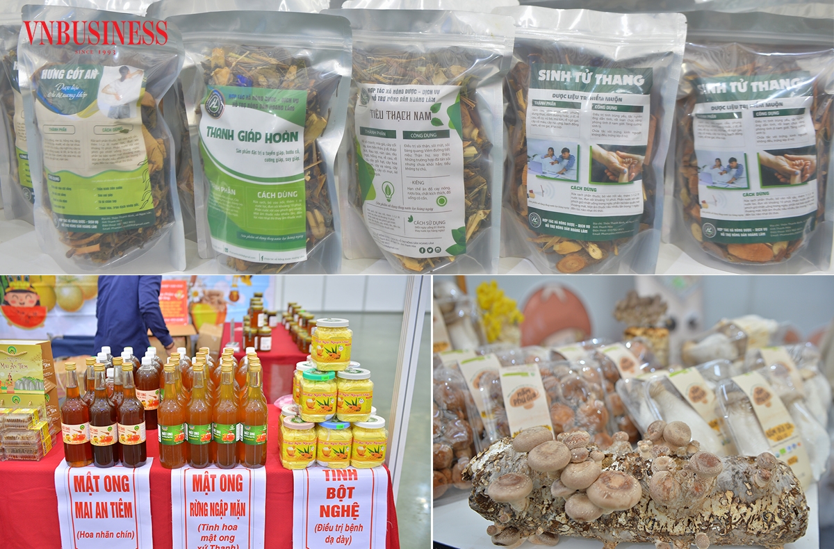 Các sản phẩm ngành dược liệu mang nét đặc trưng về văn hóa và truyền thống của người Việt Nam, đạt tiêu chuẩn chất lượng cao, phù hợp với nhu cầu của người tiêu dùng trong và ngoài nước.