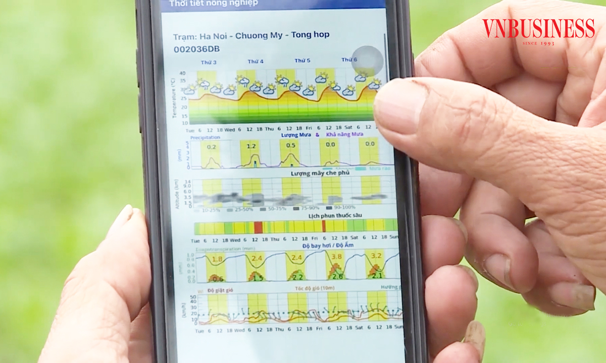 Chuyển đổi số đang đi sâu hơn vào hoạt động của các HTX, mang lại hiệu quả cao.