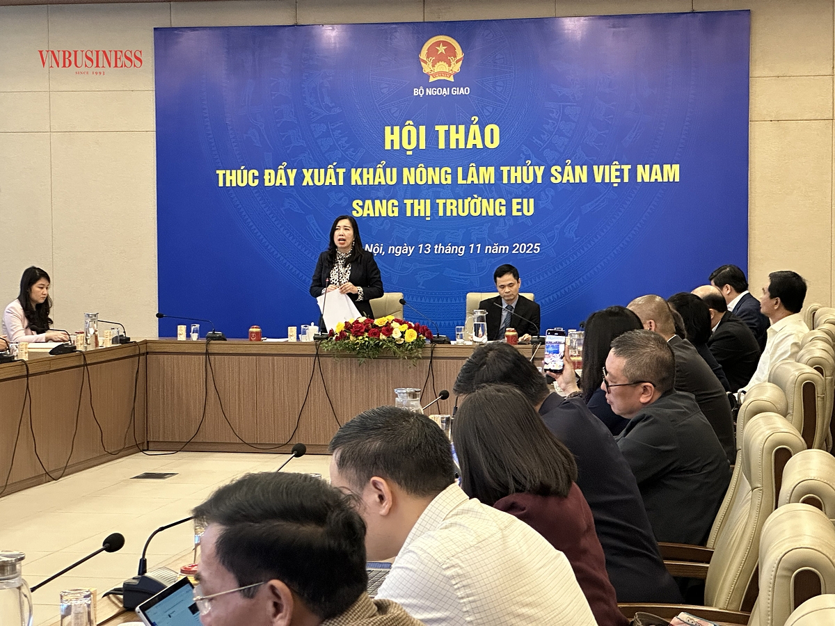 Thứ trưởng Bộ Ngoại giao Lê Thị Thu Hằng kết luận hội thảo.