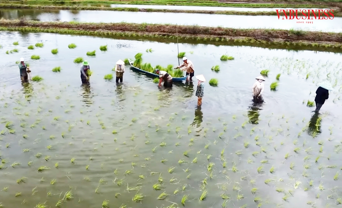 HTX, nông dân ở An Giang đang có nhiều sáng tạo trong sản xuất.