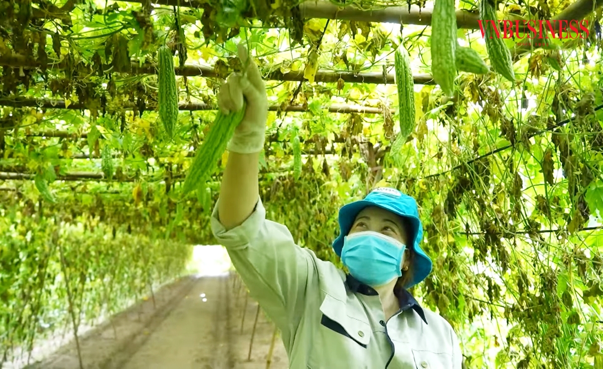 HTX kỳ vọng sẽ có nhiều chính sách hỗ trợ hơn trong chuyển đổi số.