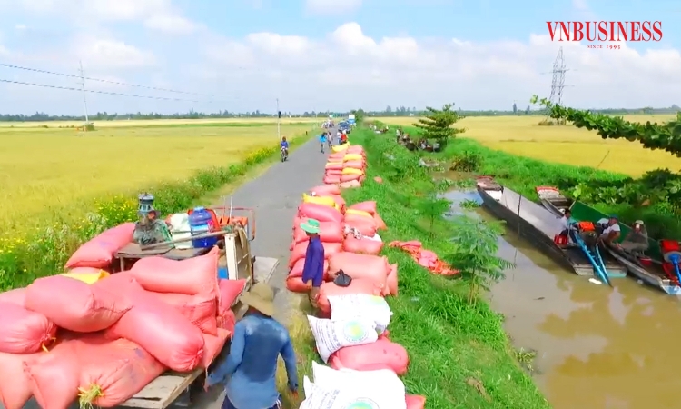 Khát vọng xanh và giàu trong nông thôn mới tỉnh An Giang