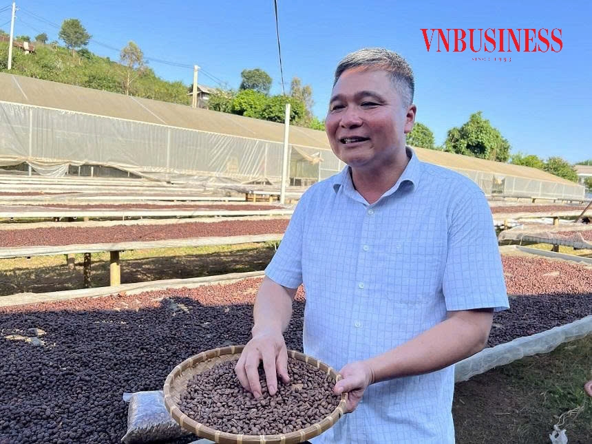 Ông Quàng Văn Muôn – thành viên HTX Chiềng Xét &lpar;phường Chiềng An, Sơn La&rpar;.