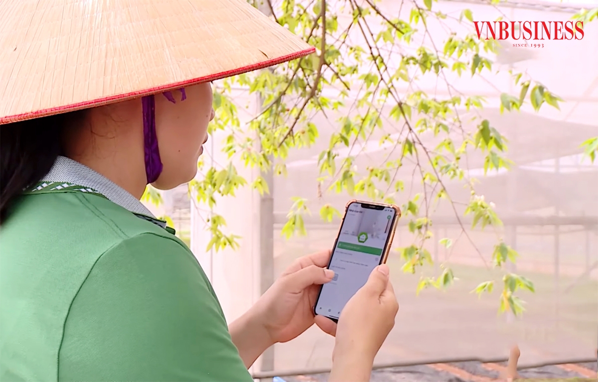 Hiệu quả phong trào Học tập số ngày càng cao, tạo sức bật cho các HTX.