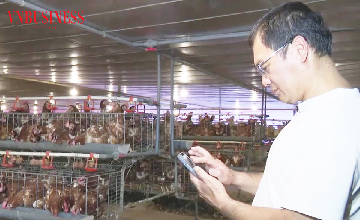 Sản xuất bằng những cú click giúp nông dân, HTX nâng cao hiệu quả.