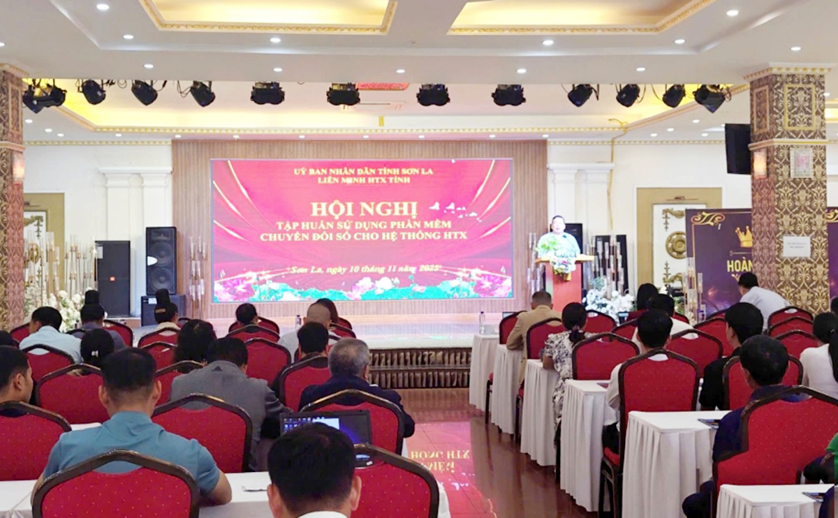 Đẩy mạnh đào tạo nâng cao trình độ nhân lực là chìa khóa đưa chuyển đổi số trở thành nền tảng để HTX bứt phá.