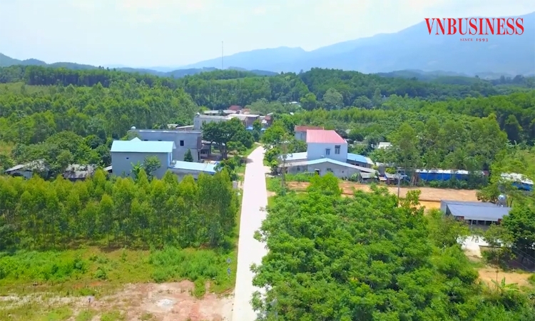 Sức bật nông thôn mới Tuyên Quang nhìn từ những HTX kiểu mới cho doanh thu tiền tỷ