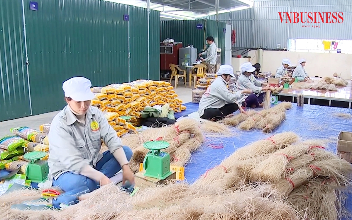 Nhiều sản phẩm thế mạnh mang lại giá trị cao cho nông dân, HTX ở Cao Bằng.