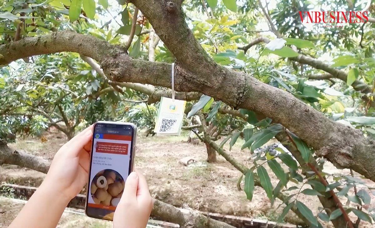 Học công nghệ, học chuyển đổi số là con đường ngắn nhất để HTX, nông dân nâng cao giá trị sản xuất.