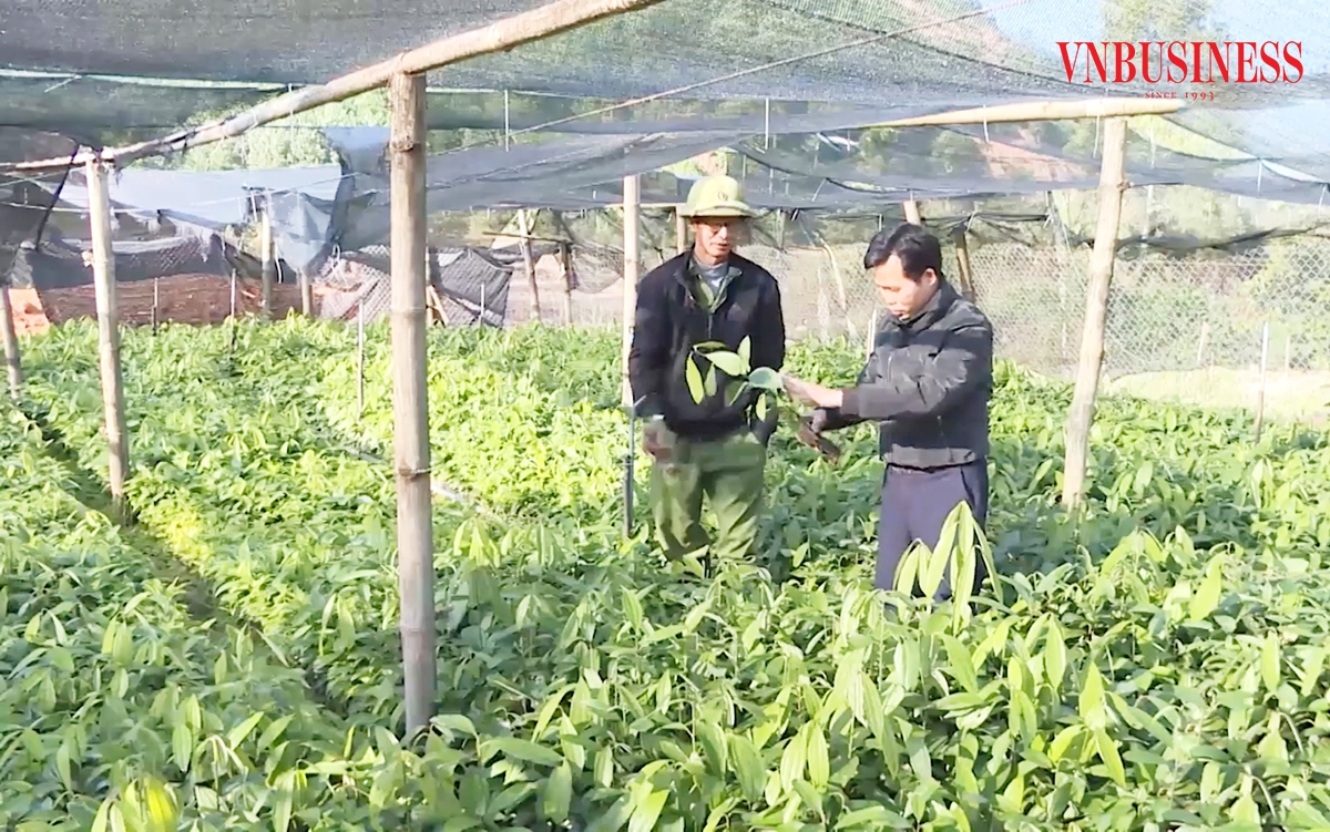 Các HTX đang khẳng định dấu ấn trong xây dựng nông thôn mới ở Quảng Ninh.