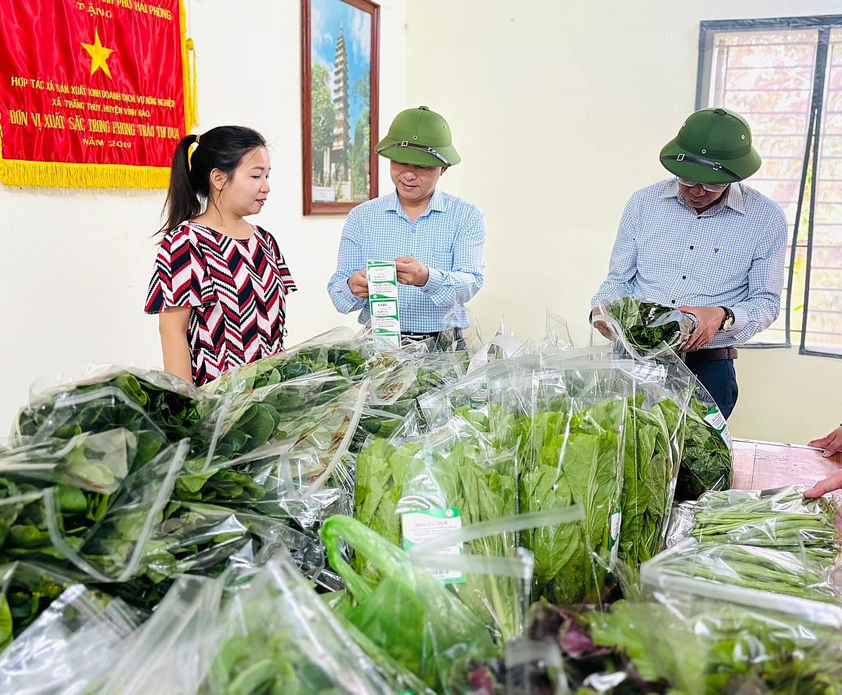 HTX Nông nghiệp Thắng Thủy do chị Cao Thị Hằng làm lãnh đạo đã góp nhiều công sức trong việc phát triển sản xuất nông nghiệp tại địa phương, tạo ra nhiều nông sản sạch, ngon trên thị trường.