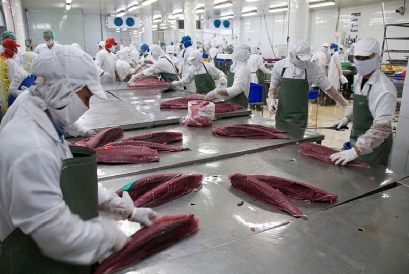 Loạt qui định mới có hiệu lực từ 10/1/2026 tại thị trường EU, đòi hỏi các doanh nghiệp Việt cần chuẩn bị kỹ.