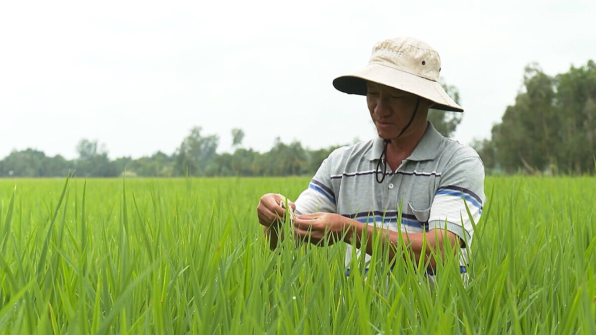 Nhu cầu vốn của các HTX rất lớn.