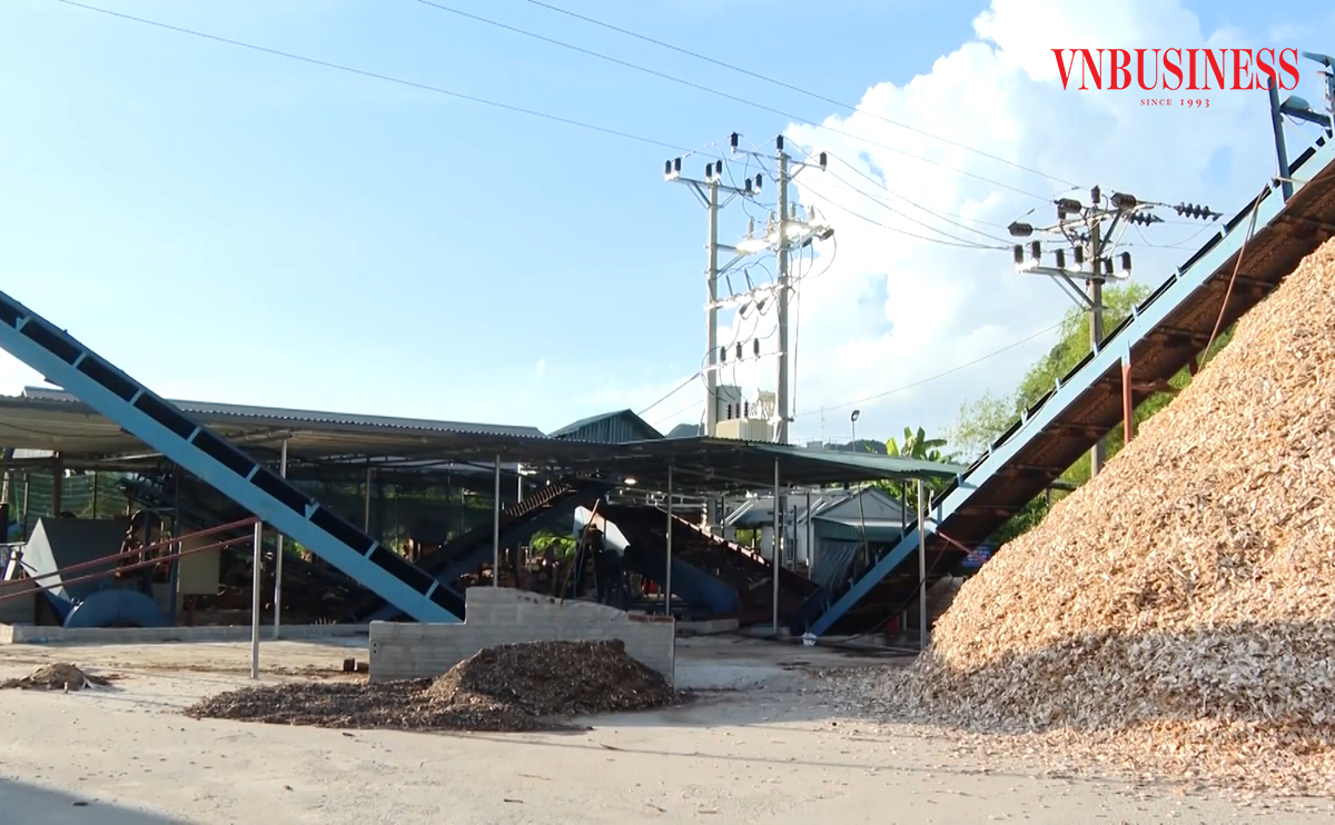 Các HTX đang đóng góp sâu rộng tại nhiều lĩnh vực trong khu vực nông thôn ở Phú Thọ.