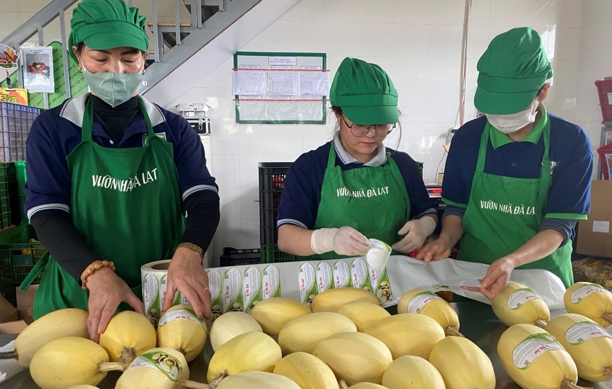 HTX Vườn Nhà Đà Lạt chú trọng sản xuất những loại rau củ độc lạ kết hợp với ứng dụng công nghệ số.