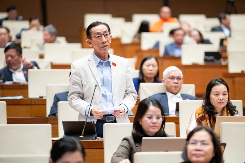 Đại biểu Trần Hoàng Ngân, đoàn ĐBQH TP HCM.