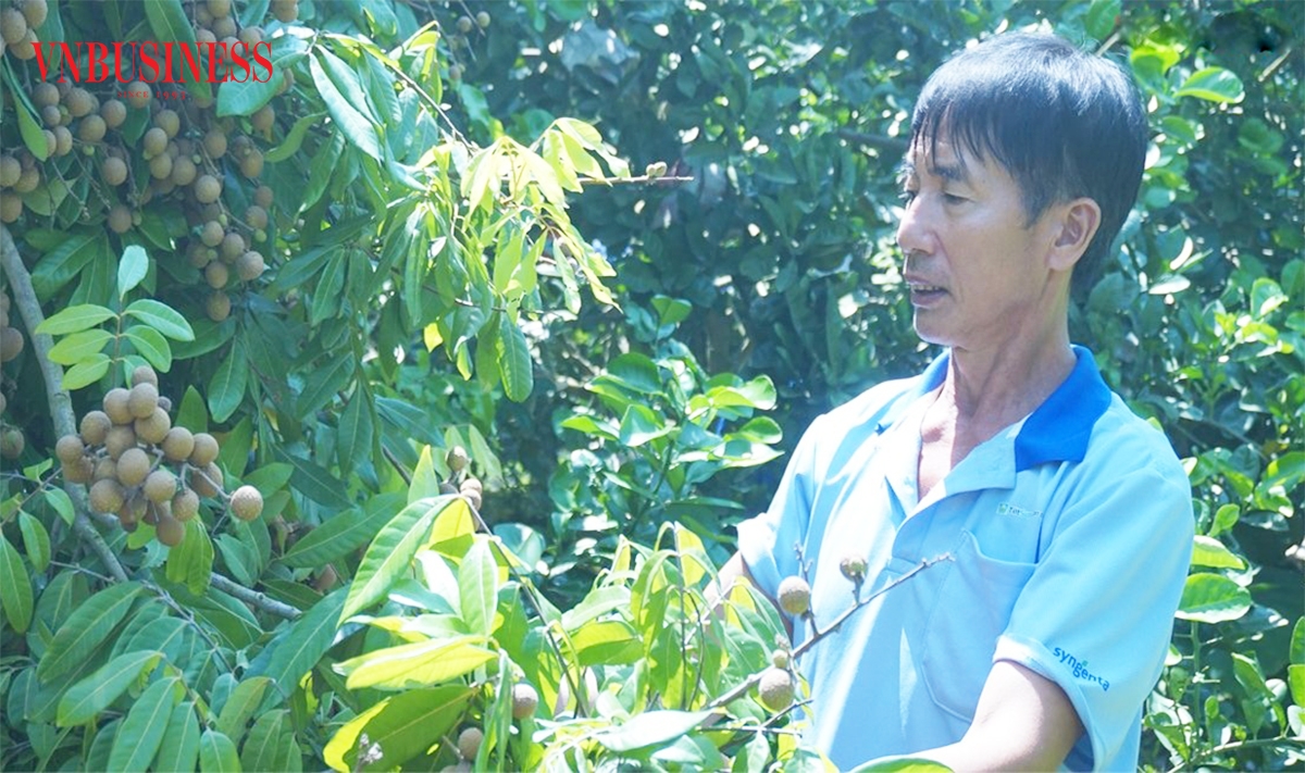 Các HTX đang là điểm sáng trong xây dựng nông thôn mới ở Hưng Yên.