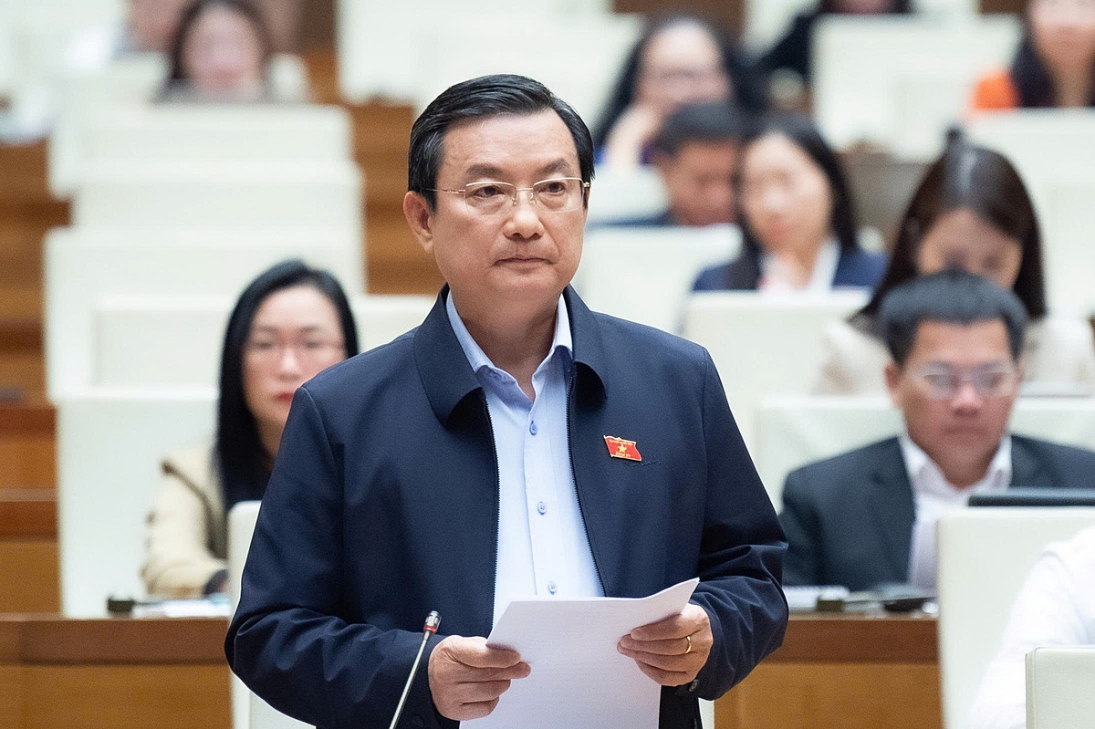 Đại biểu Phạm Trọng Nhân, đoàn ĐBQH TP HCM.