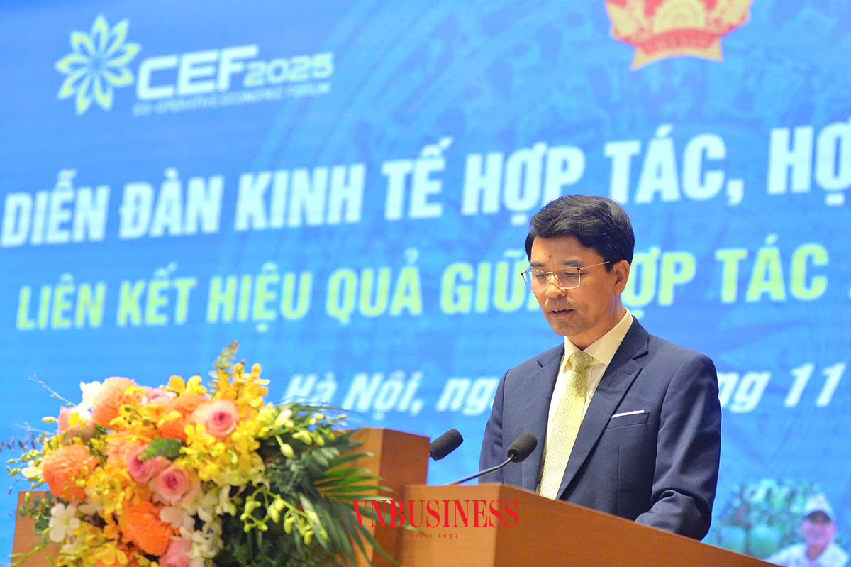 Phó Chủ tịch Liên minh HTX Việt Nam Đinh Hồng Thái phát biểu tại diễn đàn.