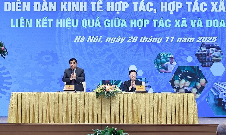 Xây dựng hệ sinh thái liên kết hoàn chỉnh giữa HTX và doanh nghiệp
