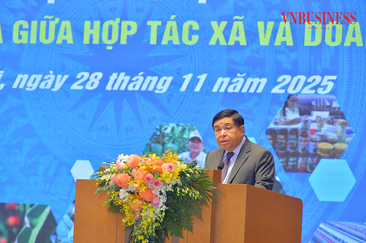 Phó Thủ tướng Nguyễn Chí Dũng, Trưởng Ban Chỉ đạo quốc gia về kinh tế tập thể đề nghị phát huy mọi nguồn lực để tăng hiệu quả liên kết giữa HTX và doanh nghiệp, mở rộng thị trường cho nông sản HTX.