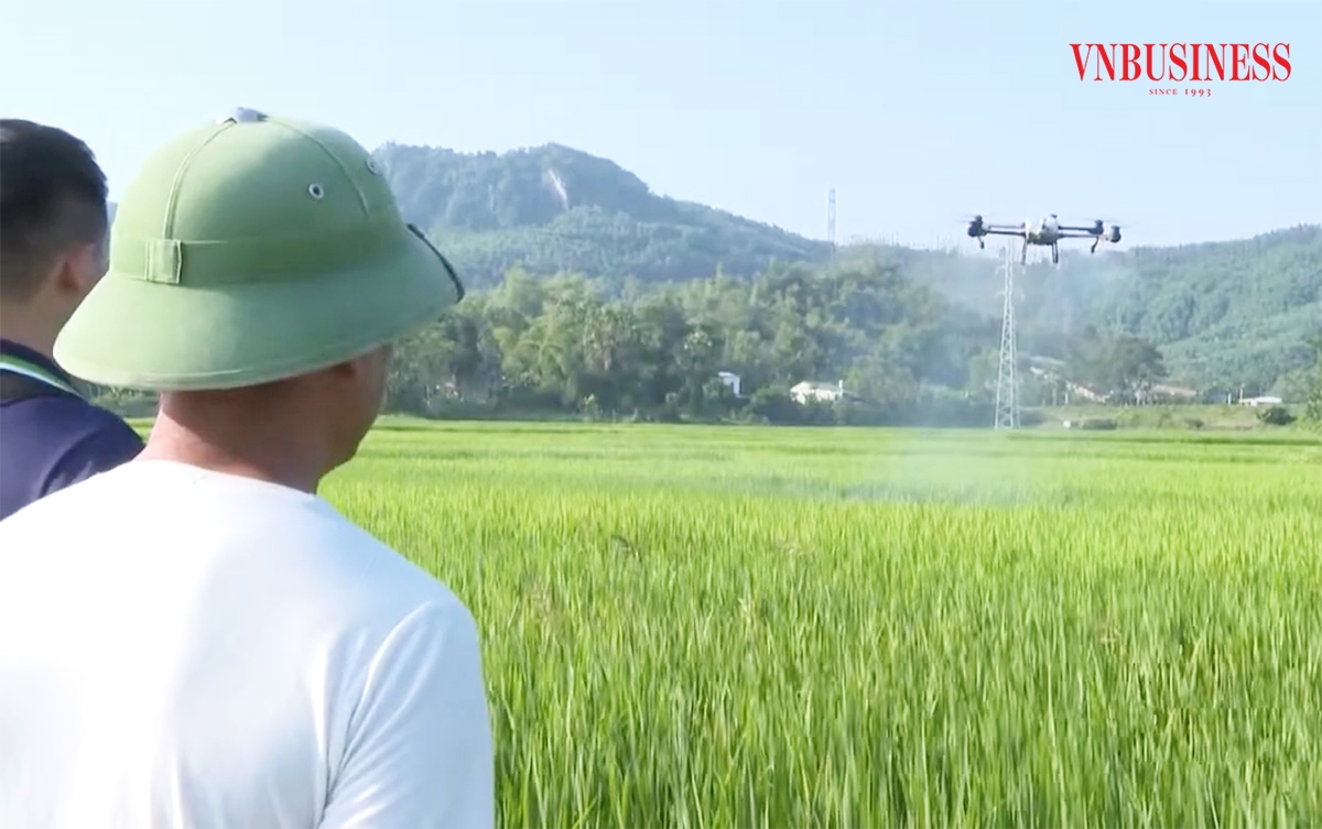 Phong trào ứng dụng công nghệ, số hóa đang lan tỏa trong nông nghiệp tỉnh Tuyên Quang.