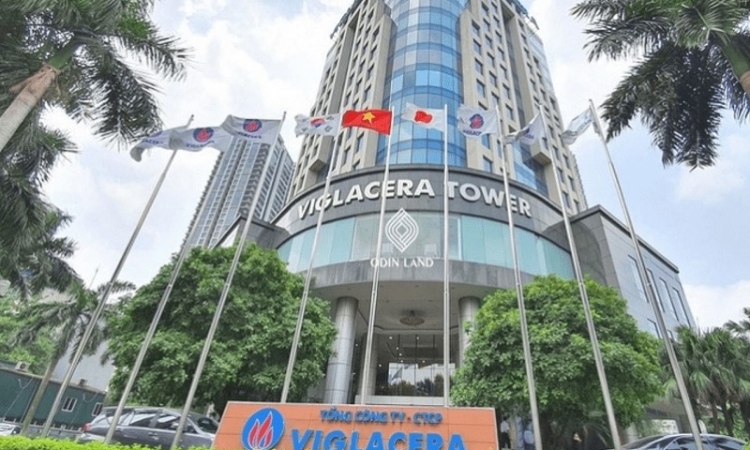 Viglacera bị truy thu thuế hàng trăm triệu đồng, lợi nhuận ‘tụt dốc’, cổ phiếu rơi nhanh