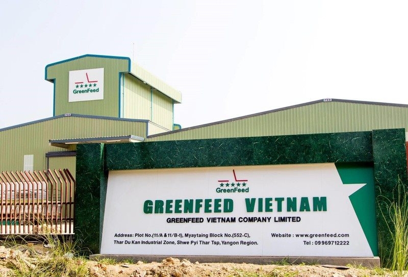 GreenFeed Việt Nam ghi nhận lãi lớn trong 6 tháng đầu năm.