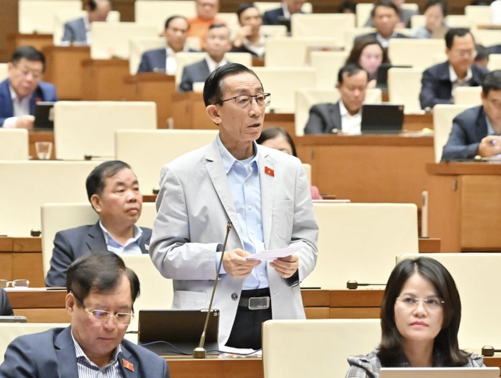 Đại biểu Trần Hoàng Ngân - Ảnh: Quốc hội