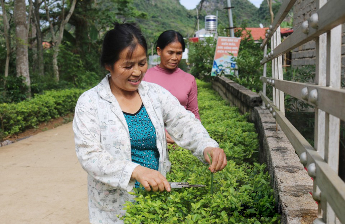 Nhiều địa phương ở Lạng Sơn đang hướng tới nông thôn mới kiểu mẫu, giàu đẹp hơn &lpar;Ảnh: BLS&rpar;.