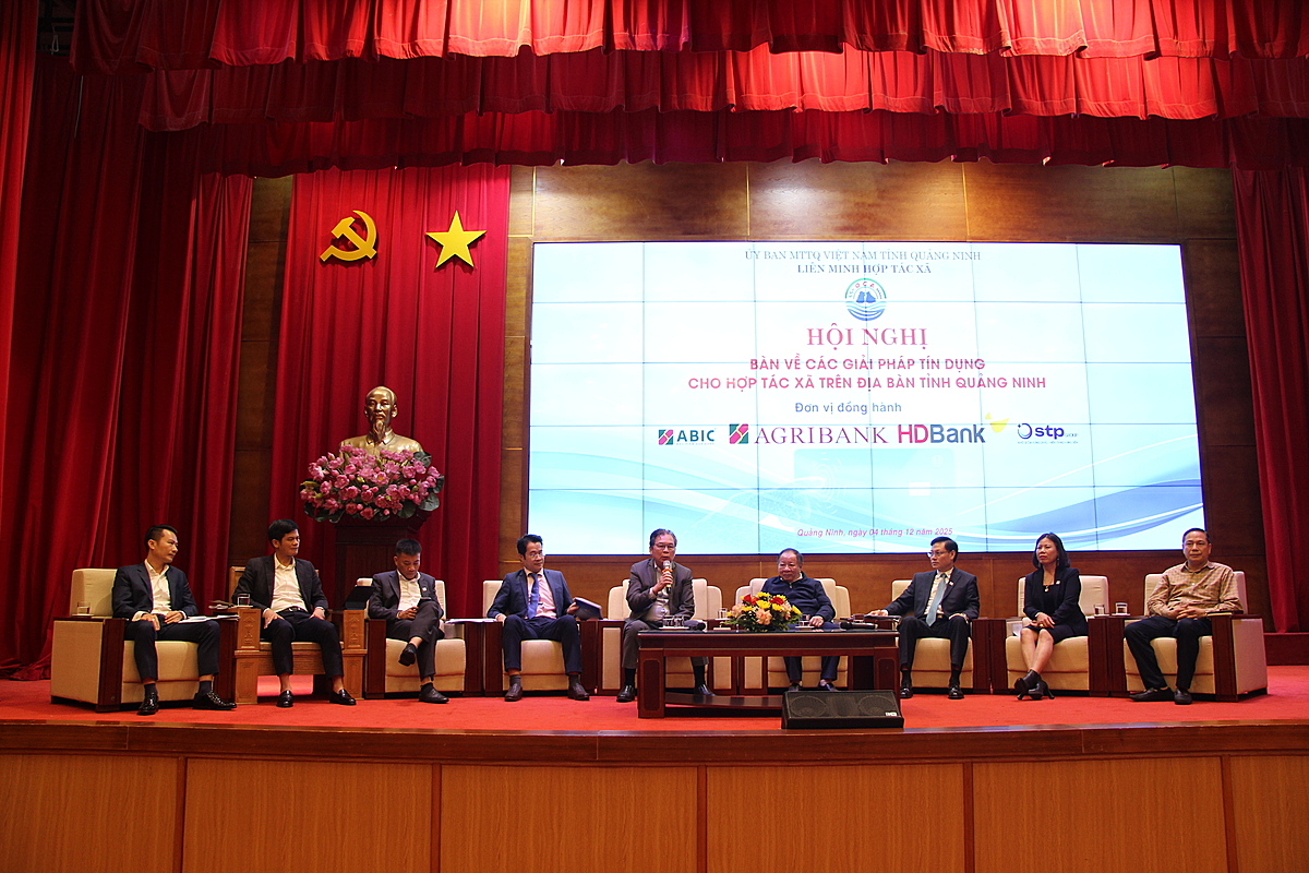 Các đại biểu tham dự tọa đàm về các chính sách cho vay, bảo hiểm, hỗ trợ HTX trong vay vốn và sản xuất kinh doanh.