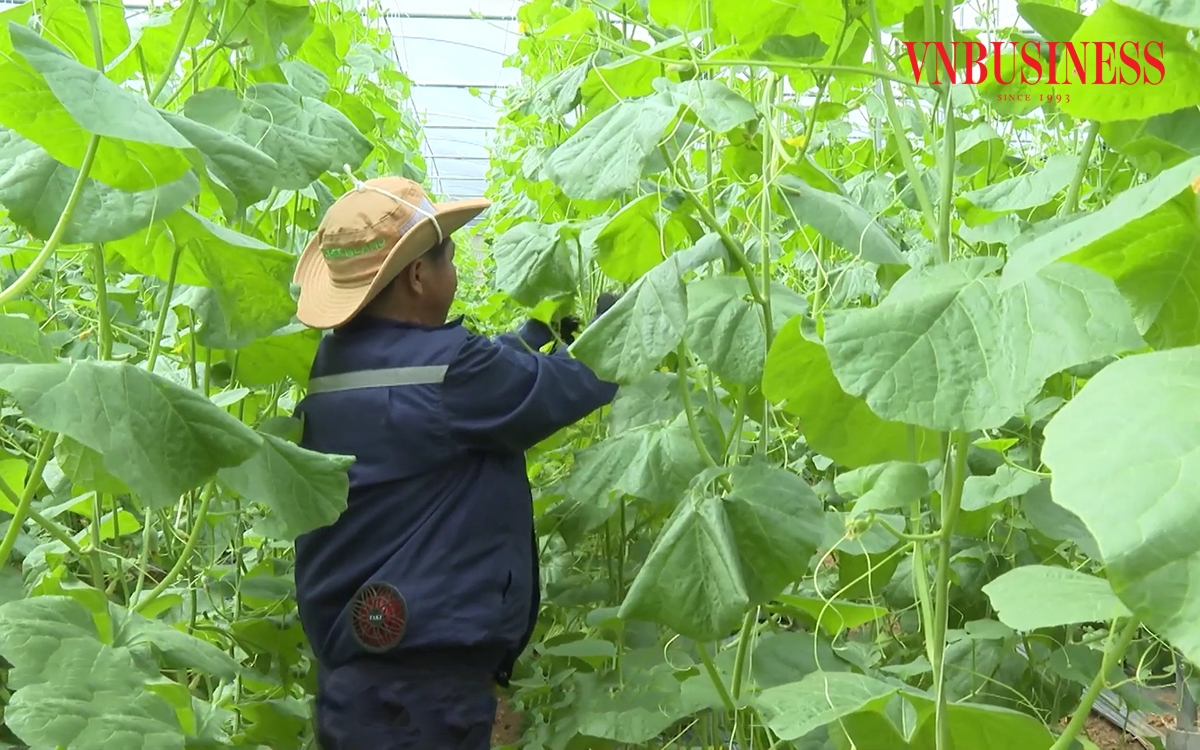 Phong trào khởi nghiệp với công nghệ cao đang lan tỏa trong khu vực kinh tế hợp tác, HTX.