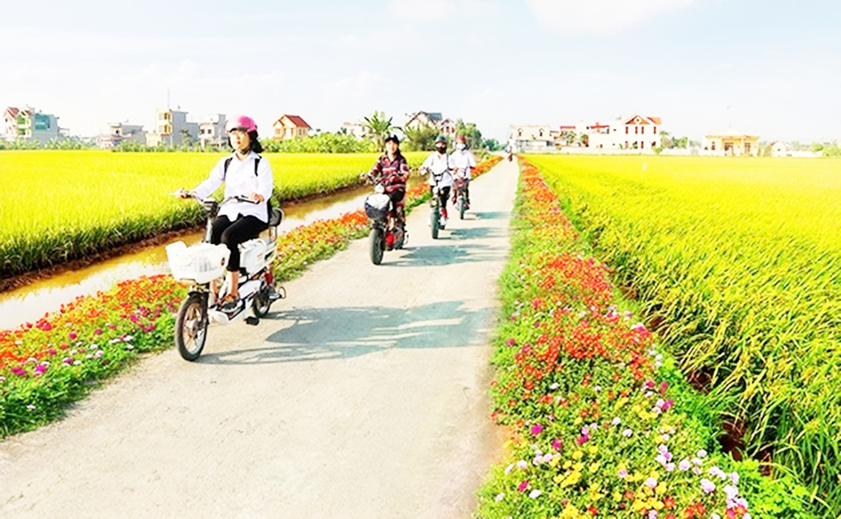 Điểm tựa từ nông nghiệp hàng hóa đang thúc đẩy nông thôn mới tỉnh Bắc Ninh.