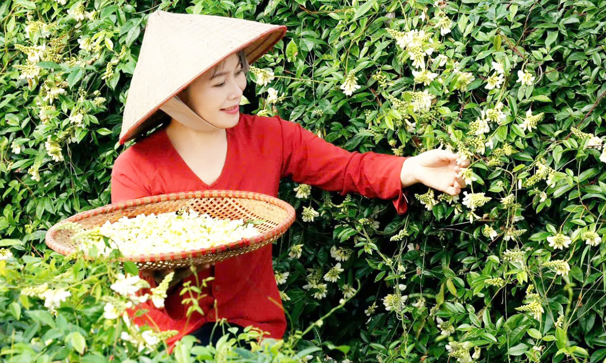 HTX đang phát triển thành công nhiều sản phẩm đặc trưng tại Bắc Ninh.