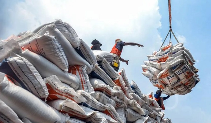 11 tháng năm 2025, Philippines là thị trường xuất khẩu lớn nhất của gạo Việt Nam, chiếm 39,8% thị phần.