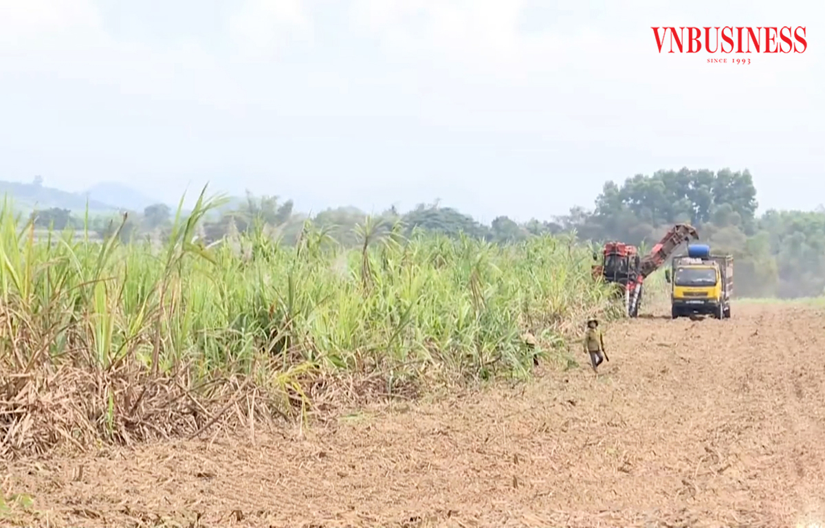 Ứng dụng khoa học công nghệ là hướng đi tất yếu đảm bảo giá trị bền vững cho HTX, nông dân.