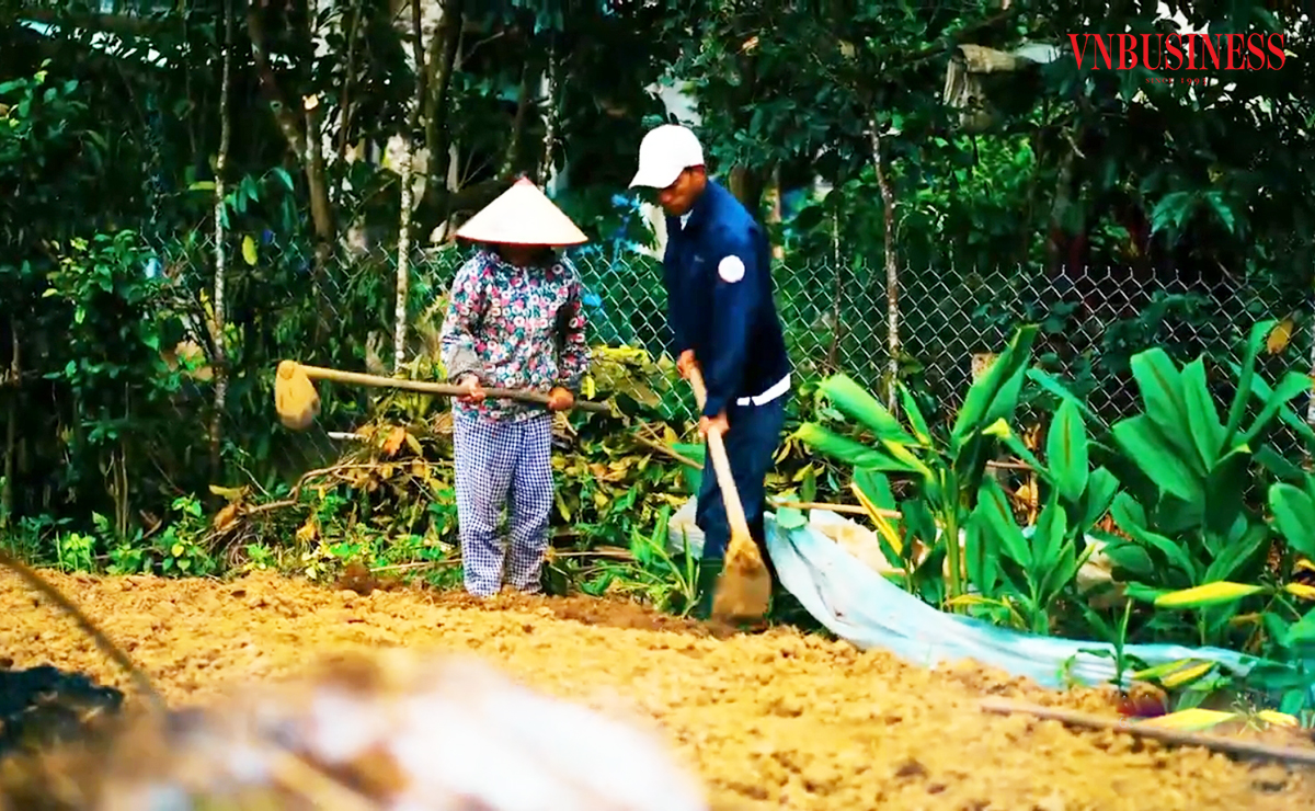 Chuyển đổi sản xuất hiệu quả là chìa khóa phát triển kinh tế nông thôn ở Huế.
