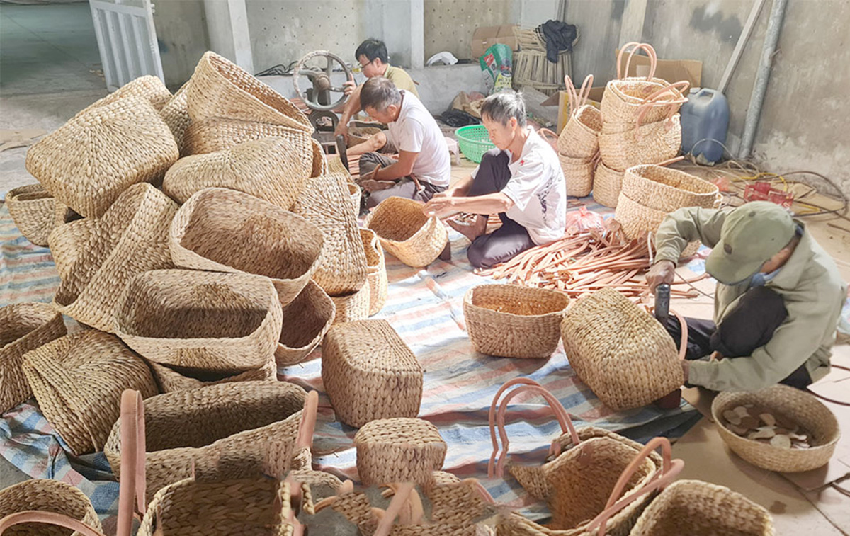 Cần tiếp tục thúc đẩy chuyển đổi số, khoa học công nghệ vào hoạt động của các HTX &lpar;Ảnh: BHY&rpar;.