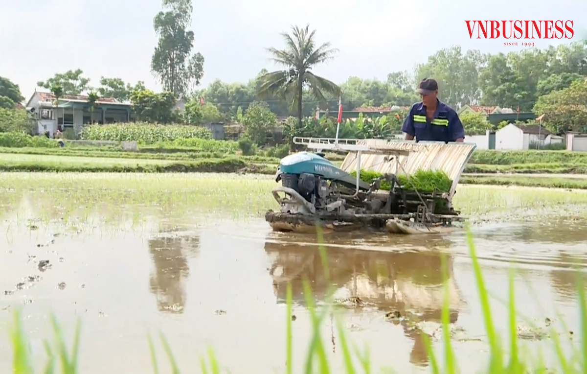 Ứng dụng khoa học công nghệ giúp HTX, nông dân giảm chi phí, công lao động, tăng năng suất, hiệu quả kinh tế.