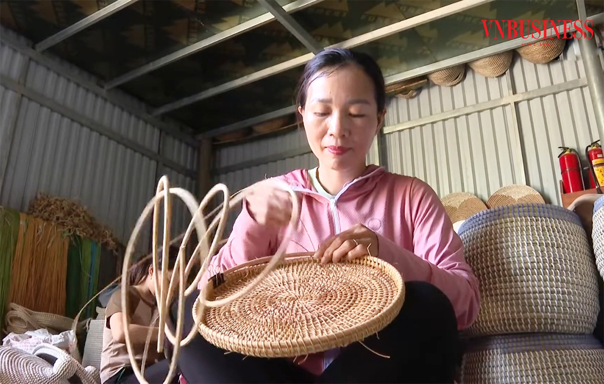 Các HTX đang góp phần thúc đẩy các sản phẩm thế mạnh ở Nghệ An.