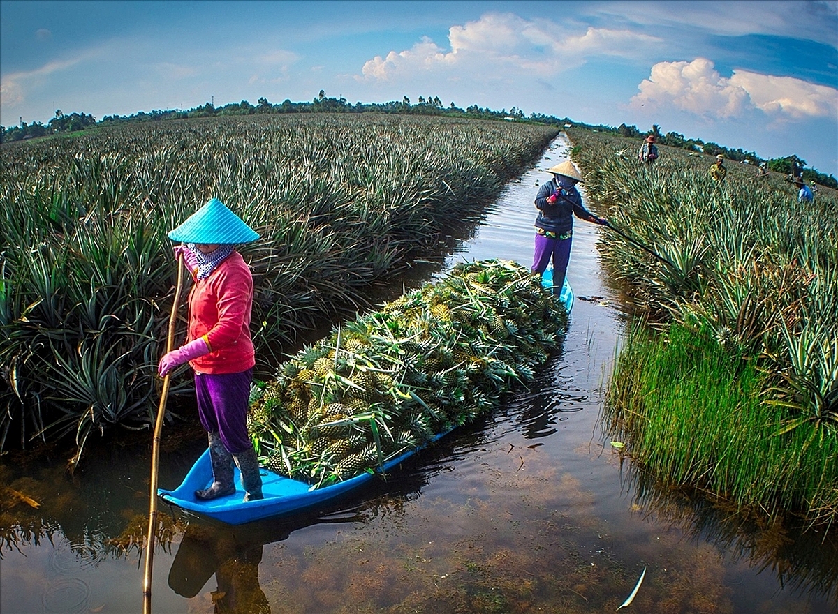 Mô hình sản xuất được nâng cao giá trị nhờ phát triển thêm mảng du lịch nông nghiệp.