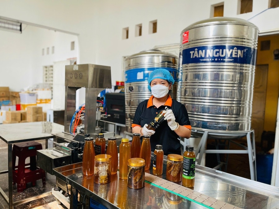 HTX Phương Di đầu tư cho sản phẩm OCOP.