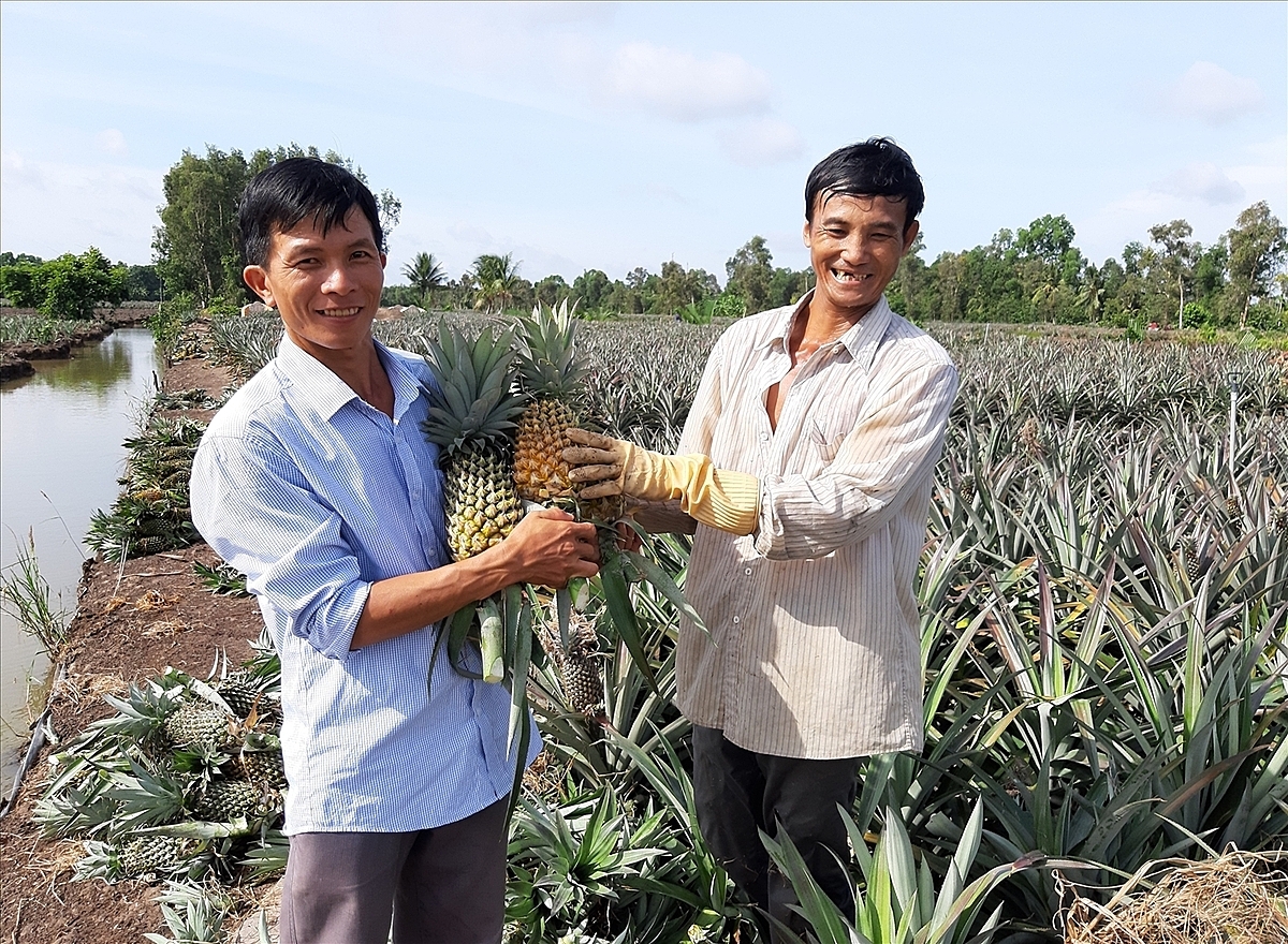 Liên kết 3 nhà giúp nâng cao hiệu quả chuỗi giá trị.