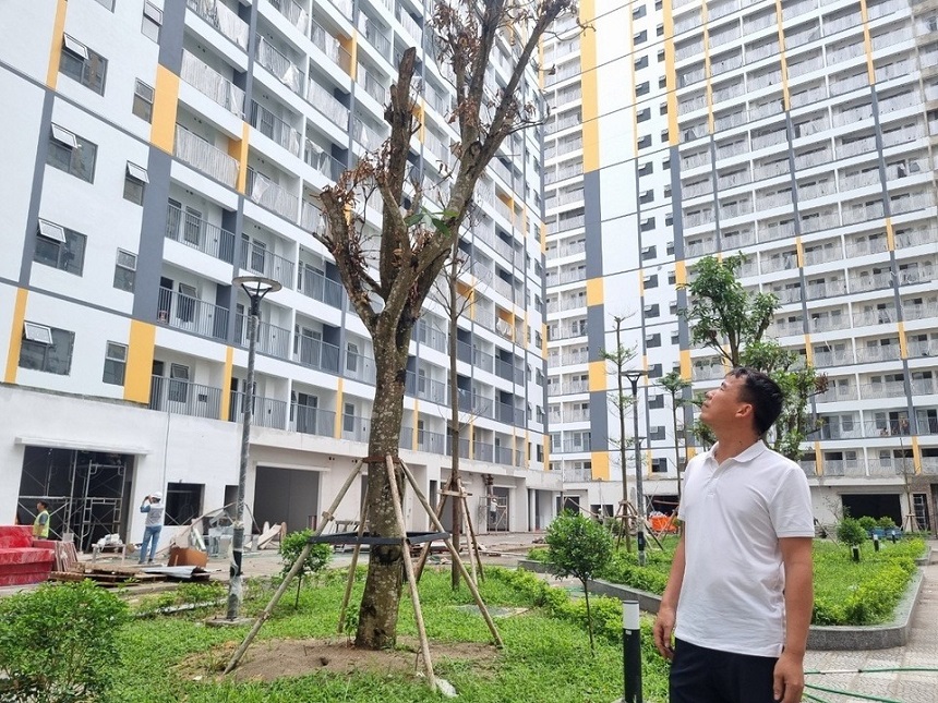 Gia đình sinh đủ 2 con được ưu tiên mua, thuê mua hoặc thuê nhà ở xã hội theo quy định của pháp luật về nhà ở.