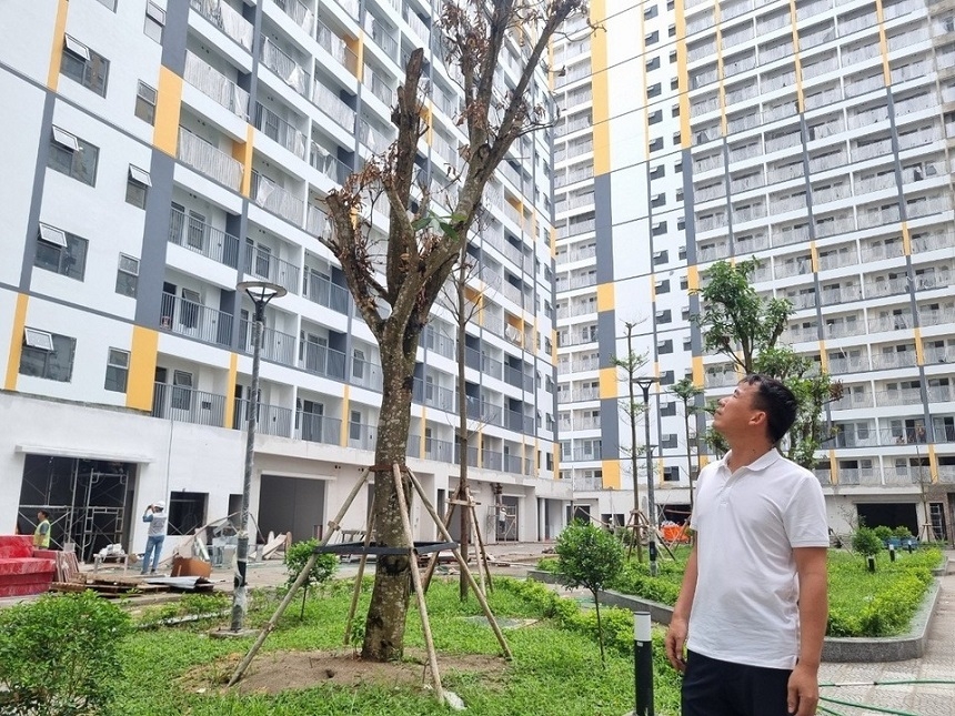 Gia đình sinh đủ 2 con được ưu tiên mua, thuê mua hoặc thuê nhà ở xã hội theo quy định của pháp luật về nhà ở.