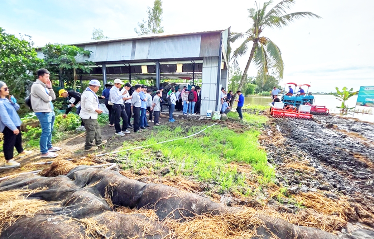 Phong trào ứng dụng công nghệ cao, chuyển đổi số đang lan tỏa trong khu vực kinh tế hợp tác, HTX.