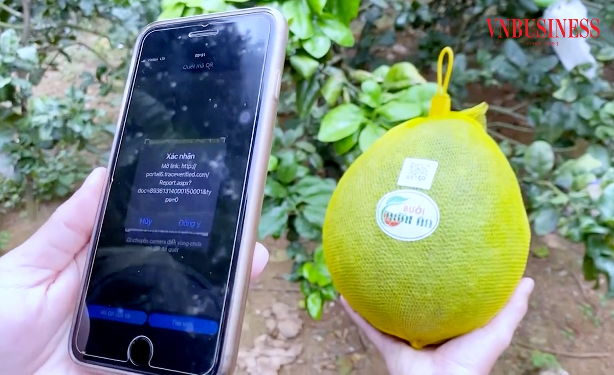 Số hóa là chìa khóa giúp HTX mở cánh cửa thị trường cho nông sản của thành viên.