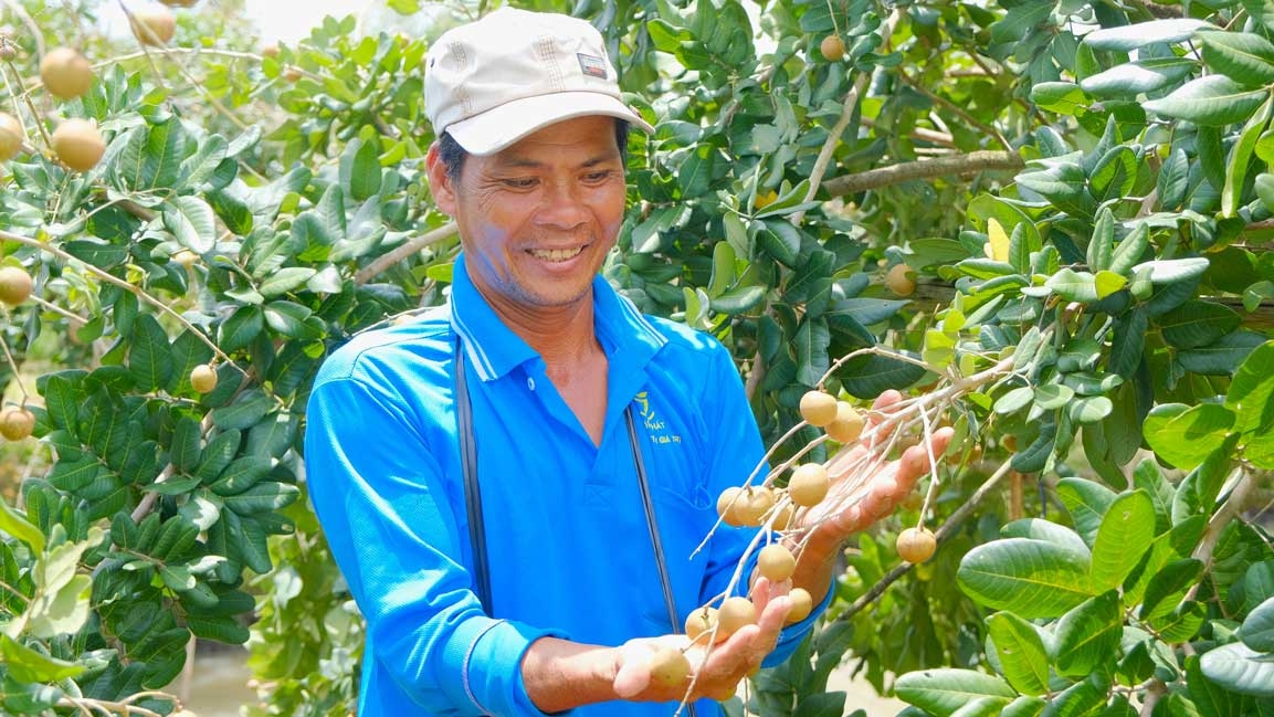 Thế mạnh địa phương được phát huy thông qua mô hình HTX.