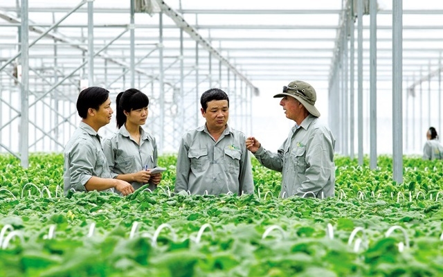 Nhu cầu của các HTX hiện đại đang chuyển dịch mạnh mẽ sang các dịch vụ giá trị gia tăng cao như chuyển đổi số, marketing đa kênh và quản trị chuỗi cung ứng toàn cầu – những lĩnh vực đòi hỏi người tư vấn phải có tư duy thực chiến sắc bén &lpar;Ảnh minh họa&rpar;