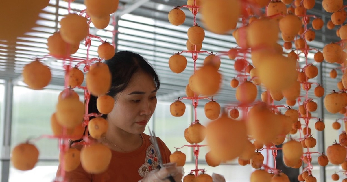 Việt Nam sắp có trung tâm đổi mới sáng tạo về nông nghiệp thông minh tại Lạng Sơn